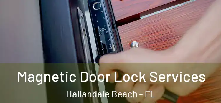Magnetic Door Lock Services Hallandale Beach - FL
